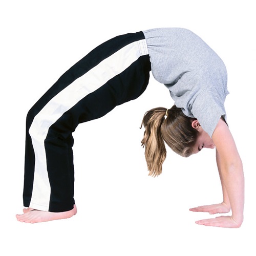 do gymnastics in verbal behavior  category